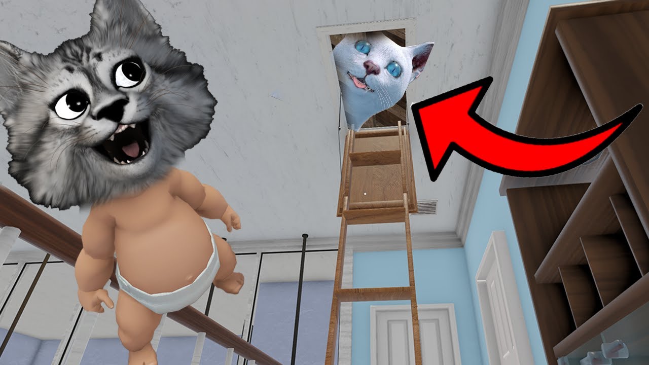 Gizli Tavan Arasında ''TURŞUHAN KEDİYİ'' Buldum | Who's Your Daddy