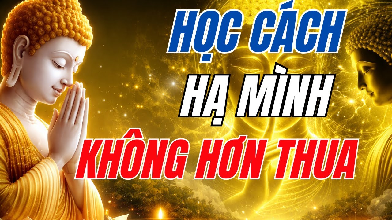 Lời Phật Dạy Qua Bồ Đề Đạt Ma: Hạ Mình Không Hơn Thua, Phước Đức Tự Nhiên Đến