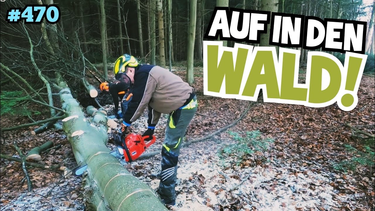 LOS GEHT'S! | Der Wald ruft! | Brennholz machen | Mr. Moto