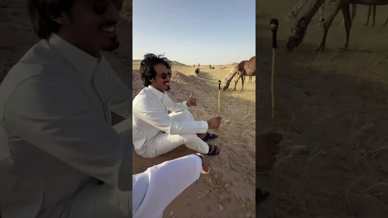 سنابات مسعود بن شعفول | مع حمد الطويل و راشد العزران و نواف عقاب 🌟