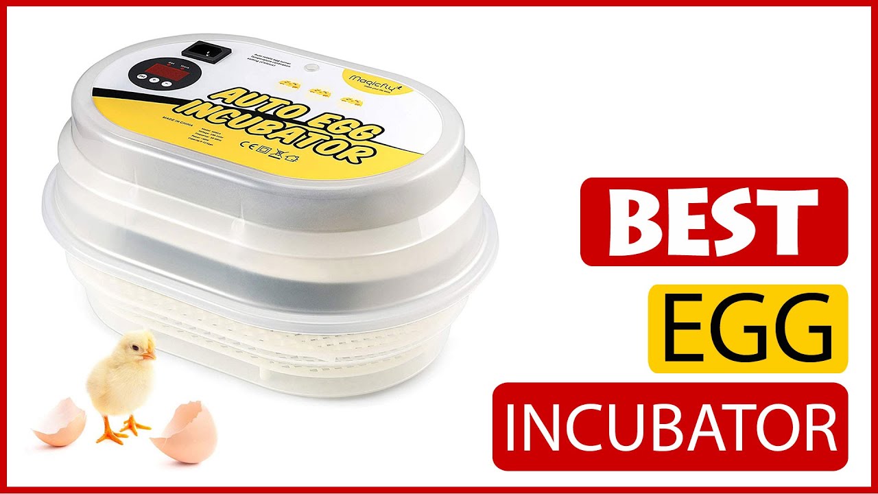 ✅ Best Egg Incubator Reviews In 2023 🏆 5 Items Tested & Buying Guide