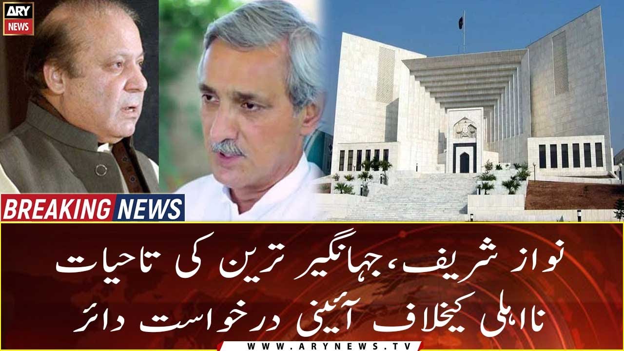 SC moved against lifetime disqualification of lawmakers