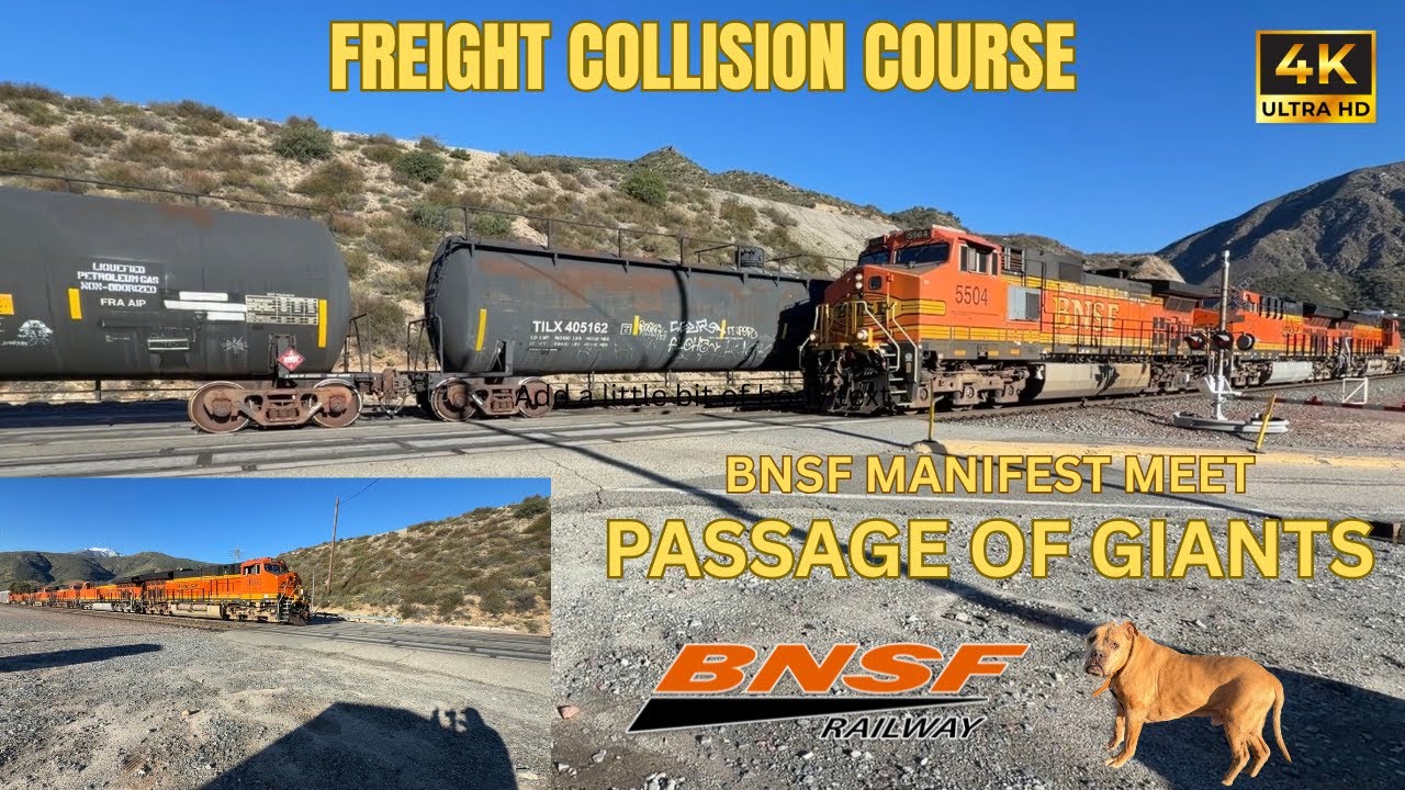 Epic Mega Manifest Train Meet has Buddy Drooling! BIG FREIGHT Trains SHOWDOWN at Blue Cut!