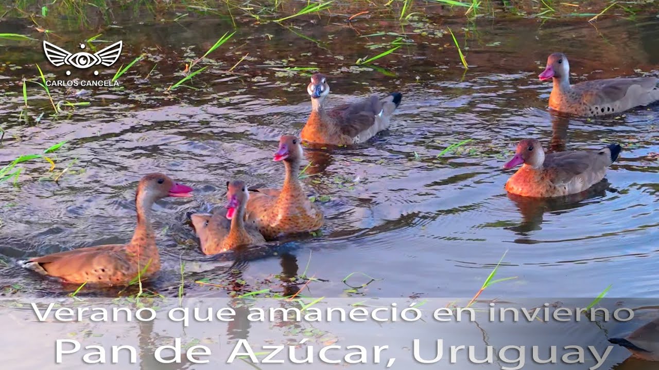 Pan de Azúcar, Maldonado, Uruguay, 