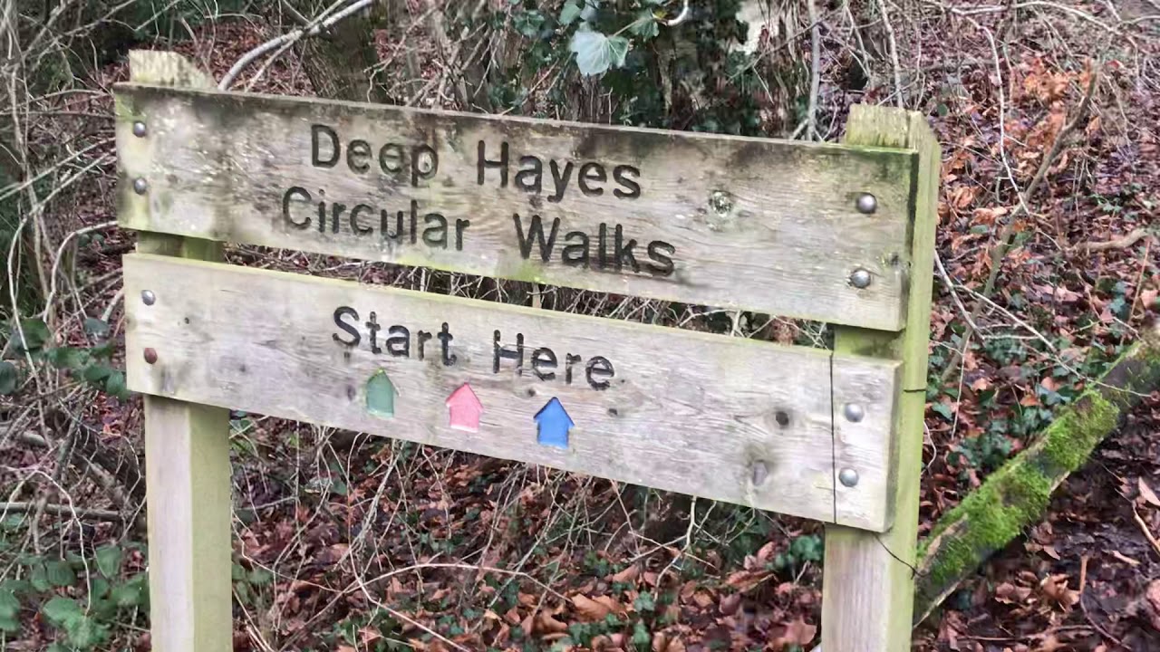Walk at deep hayes country park in leek