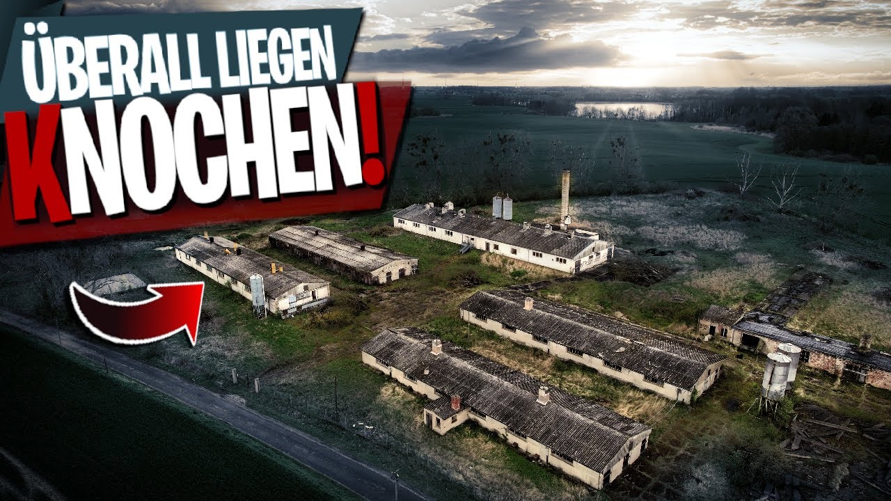 DIESE Entdeckung hinterlässt Spuren...