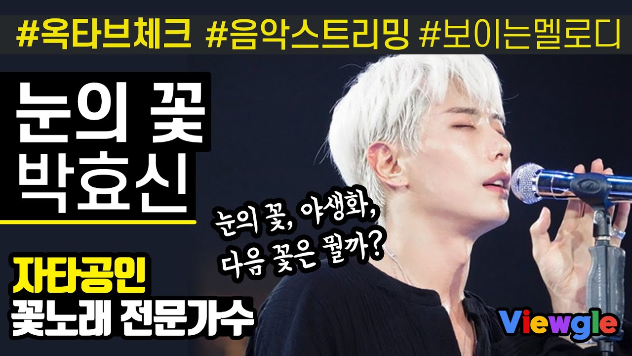 [보이는 멜로디] 박효신 - 눈의 꽃 옥타브 체크