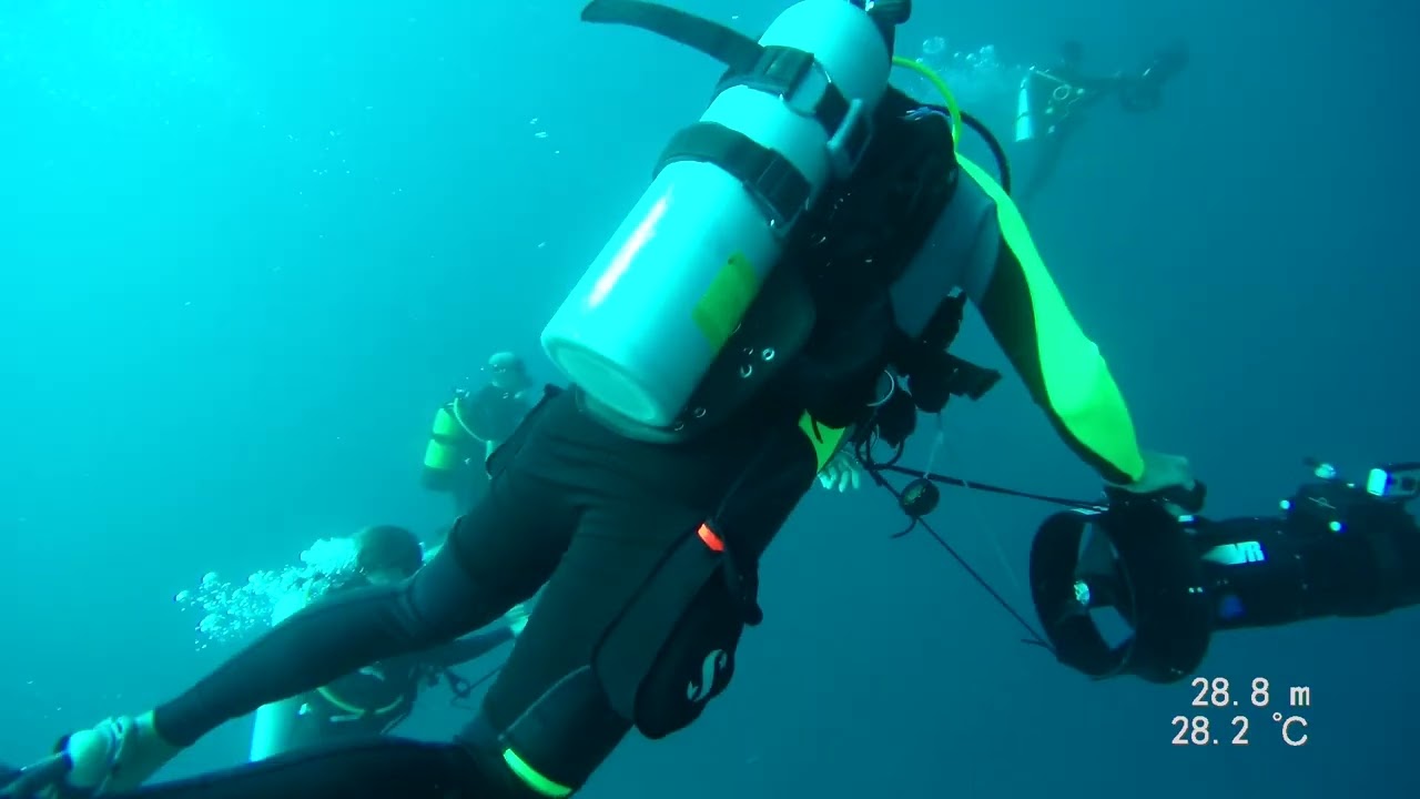 Shark Pass 19.11.22 with Blue Tribe Diving just off the Constance Moofushi resort Maldives
