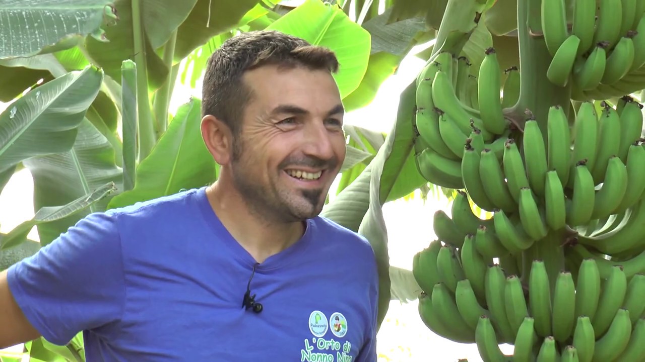Vivi Agroalimentare Bio Siciliano - Orto Di Nonno Nino