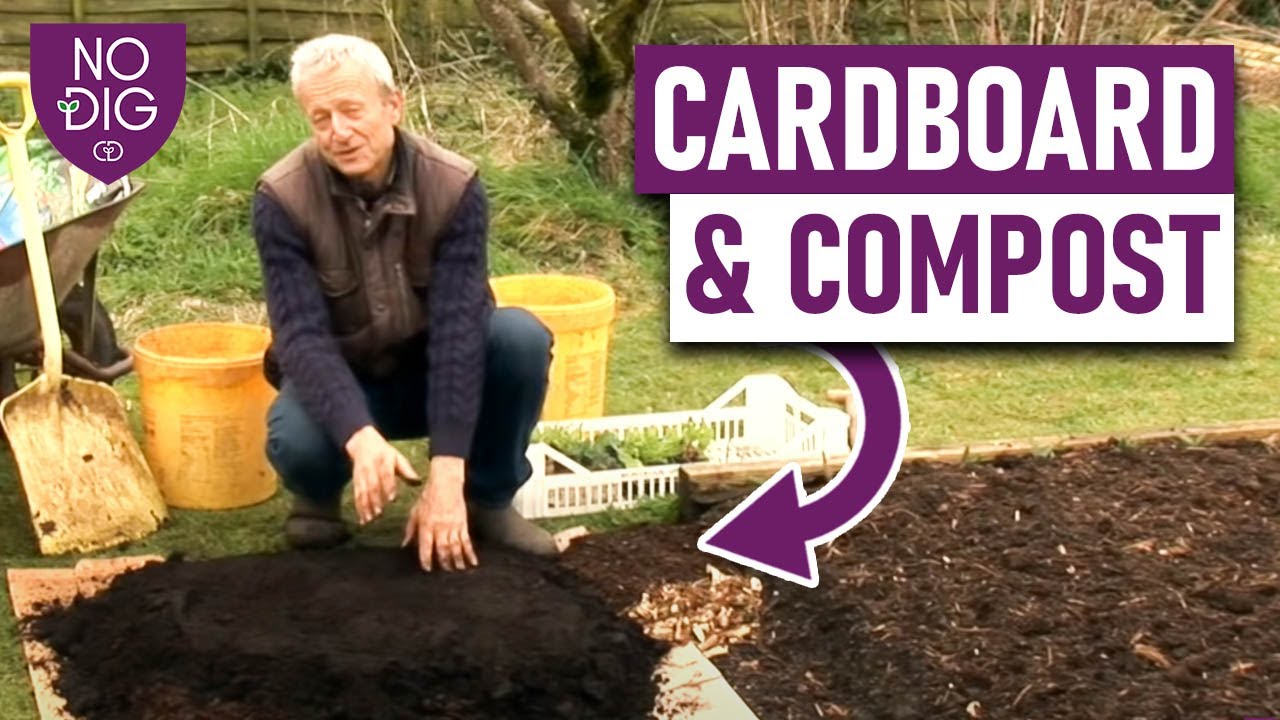 No-Dig Gardening for Beginners: Step-by-Step Guide with Cardboard and Compost