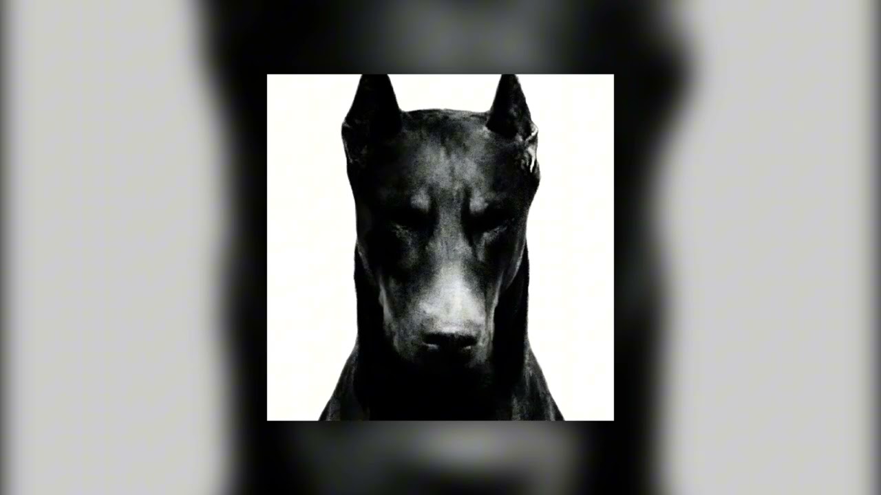 SRXPH - DOBERMAN HARDTEKK 1 HOUR LOOPED (Ultra Slowed)