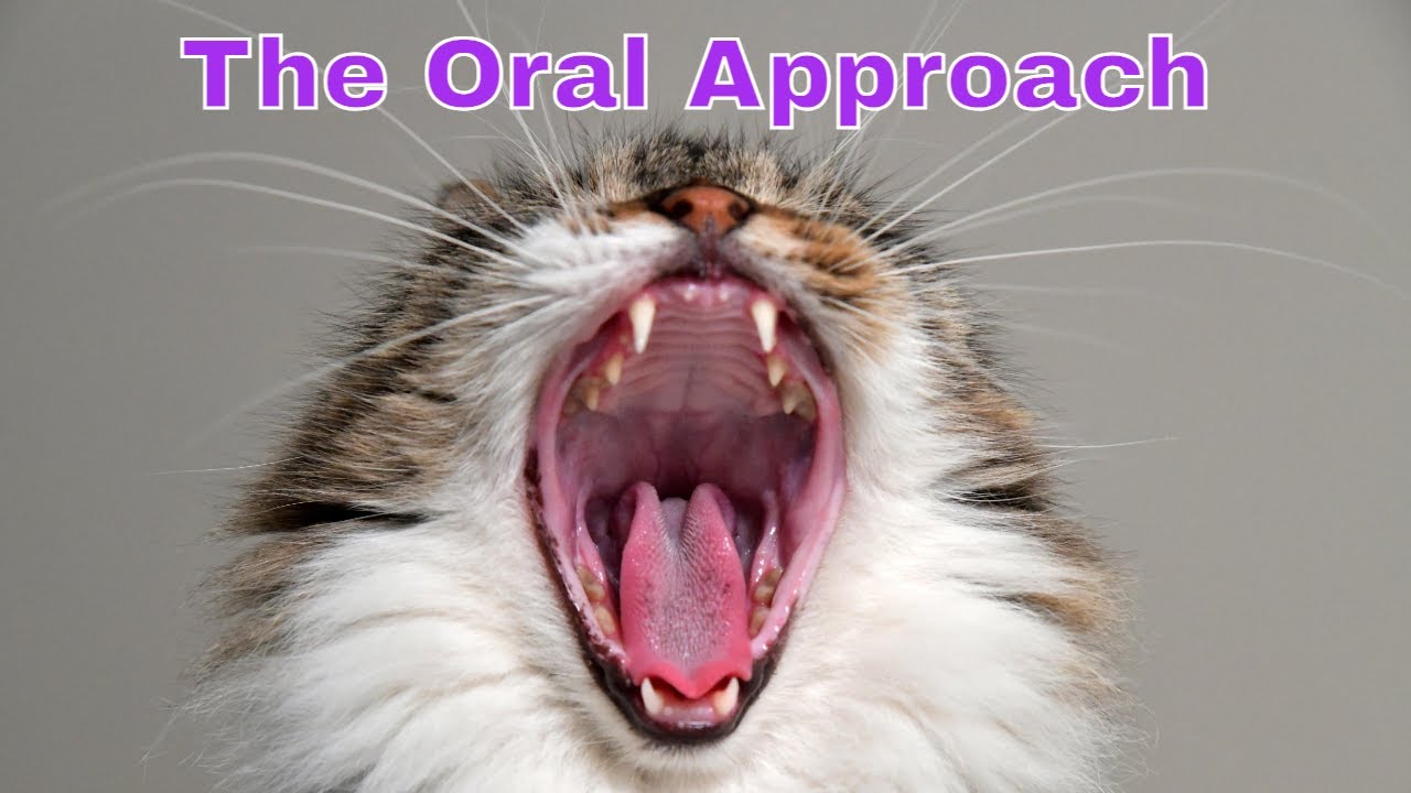 The Oral Approach to Teaching English