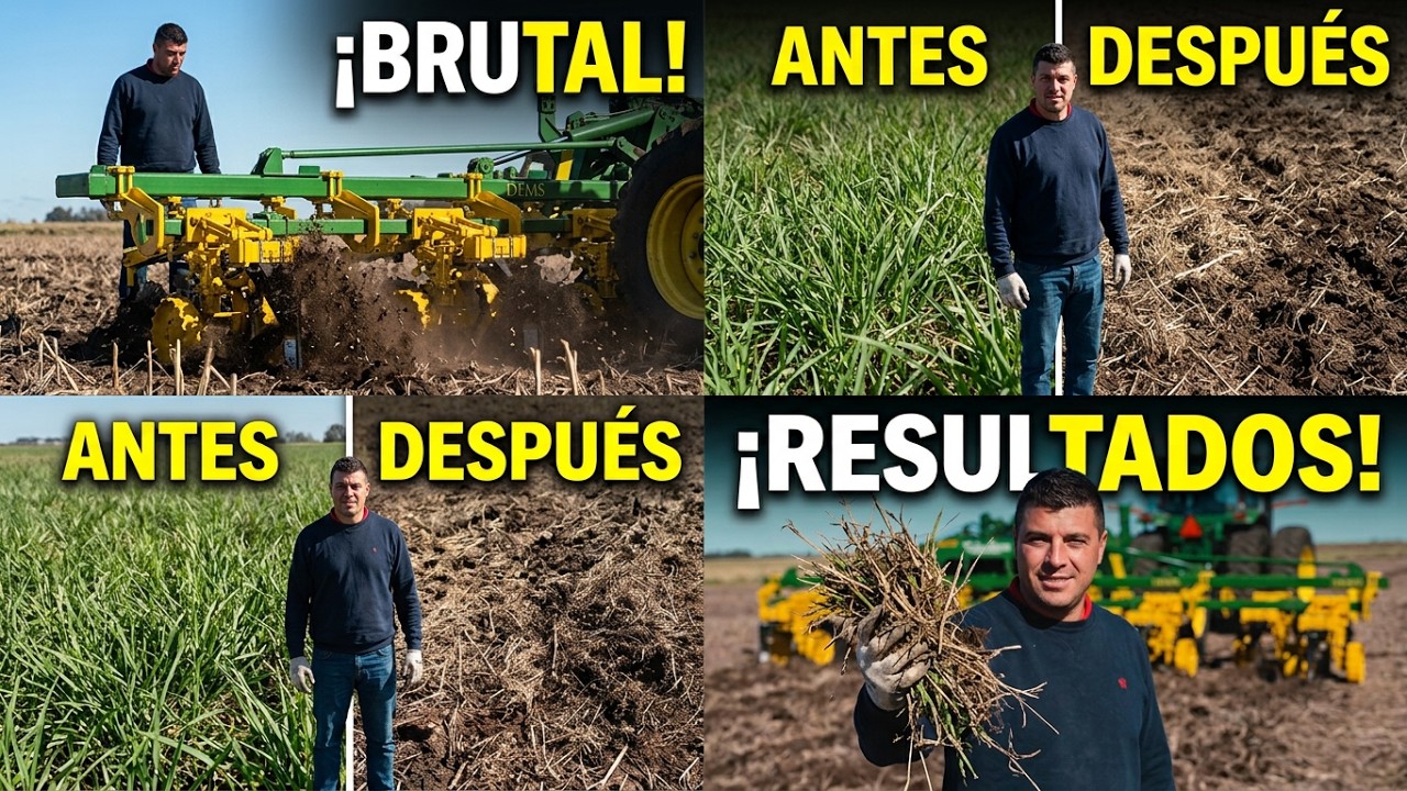 Probamos a Campo el TALA MALEZAS, escardillo, ACONDICIONADOR o carpisel RESULTADOS AL FINAL