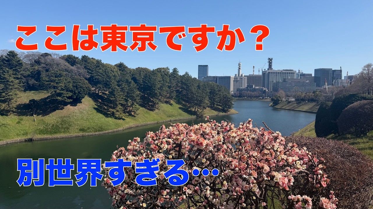 【皇居】桜田門からぐるっと一周｜皇居お散歩の魅力を全部見せます
