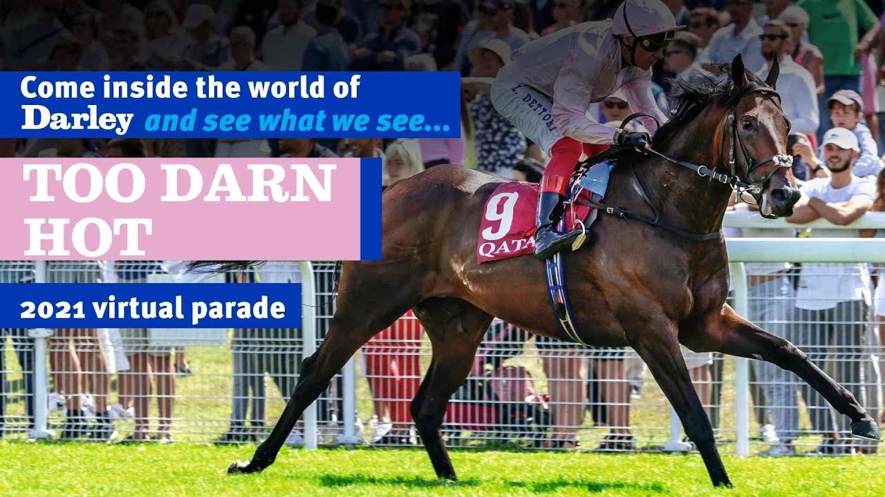2021 Darley Australia Stallion Parade - Too Darn Hot