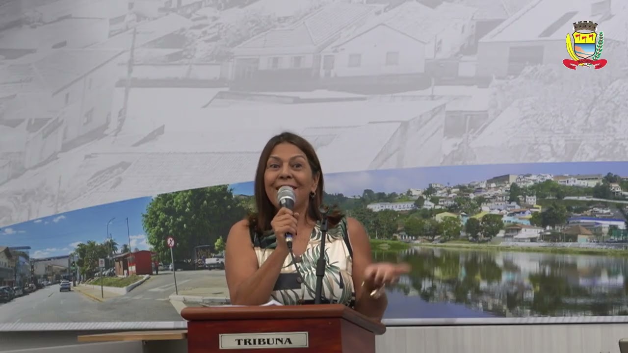 Ivanize Mendes - 4ª Reunião Ordinária da Câmara Municipal
