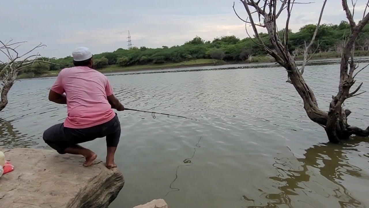 BIG SINGLE HOOK FISHING in river |Fisher Man Catching in Rohufishes |Amazing fishing video in river
