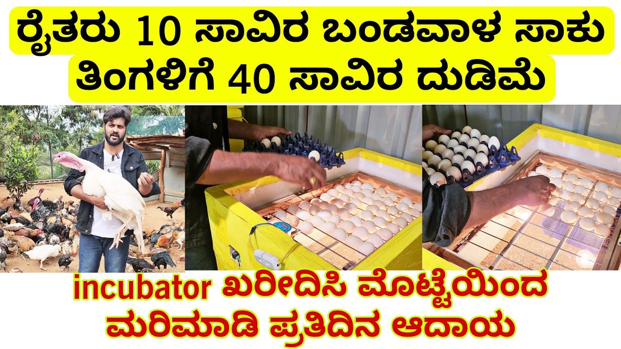 ರೈತರು 10 ಸಾವಿರ ಬಂಡವಾಳ ಸಾಕು ಹಳ್ಳಿಯಲ್ಲಿ ತಿಂಗಳಿಗೆ 40 ಸಾವಿರ ದುಡಿಮೆ incubutor ಖರೀದಿಸಿ ಮೊಟ್ಟೆಯಿಂದ ಮರಿ ಮಾಡಿ