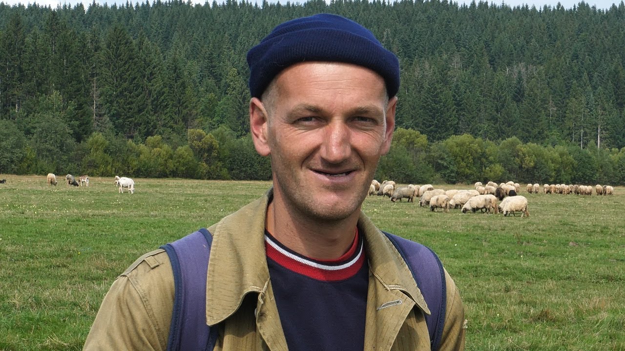 Daje dvije tone vune za 10 pari čarapa