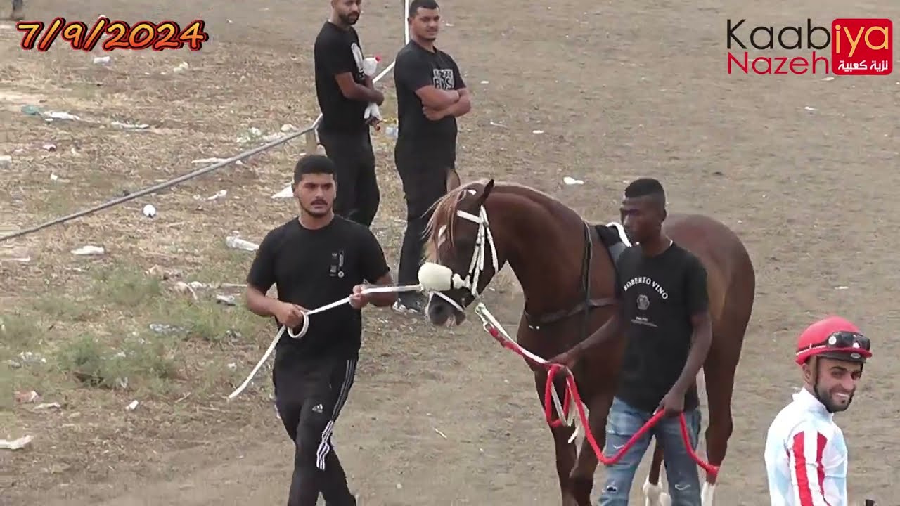 شوط مواليد 2021 موبين الزعيم اصوان شيبوب الصخرة ميدان الأحلام البطوف كفر مندا 7/9/2024
