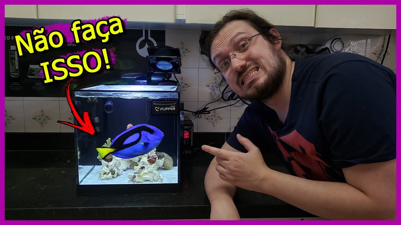 Montou seu Primeiro Aquário MARINHO? Veja esse VÍDEO!