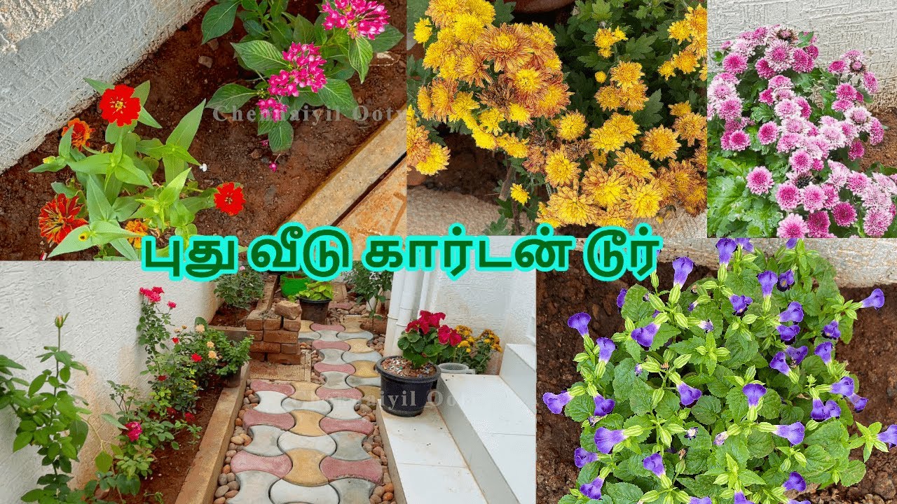 புது வீடு தோட்டம் சுற்றி பார்க்கலாம் வாங்க | chennaiyil ooty New Home  GARDEN TOUR