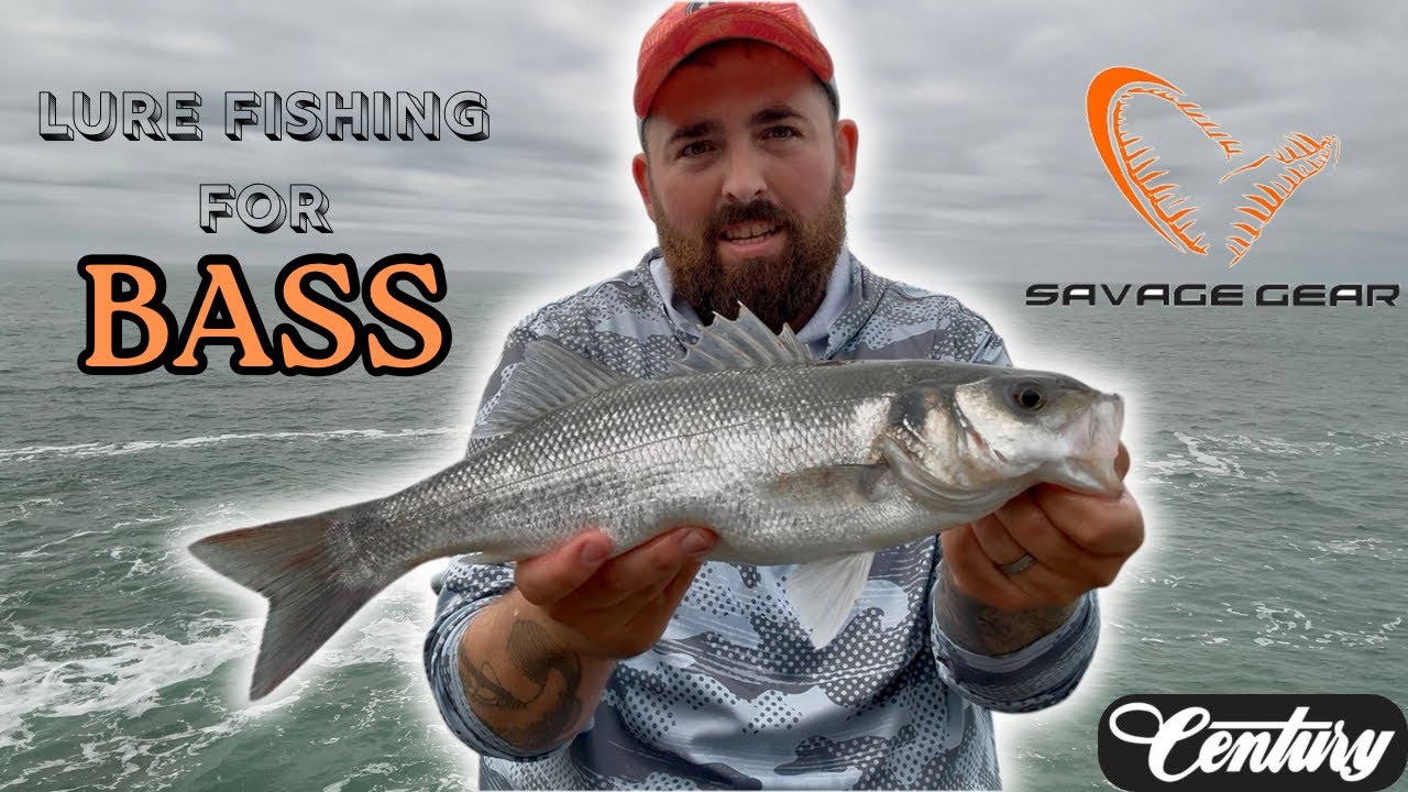 Lure Fishing For Bass | Shore Fishing West Wales