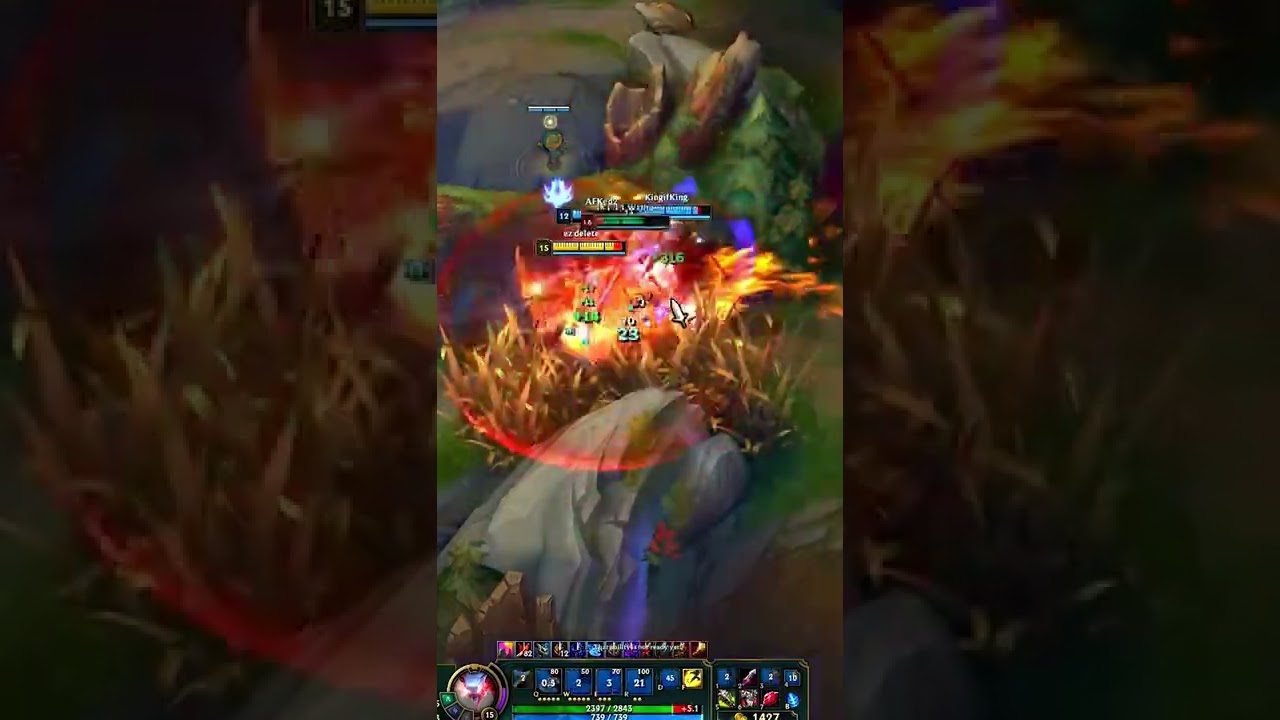 100% Missing HP Heal - Goredrinker Bug