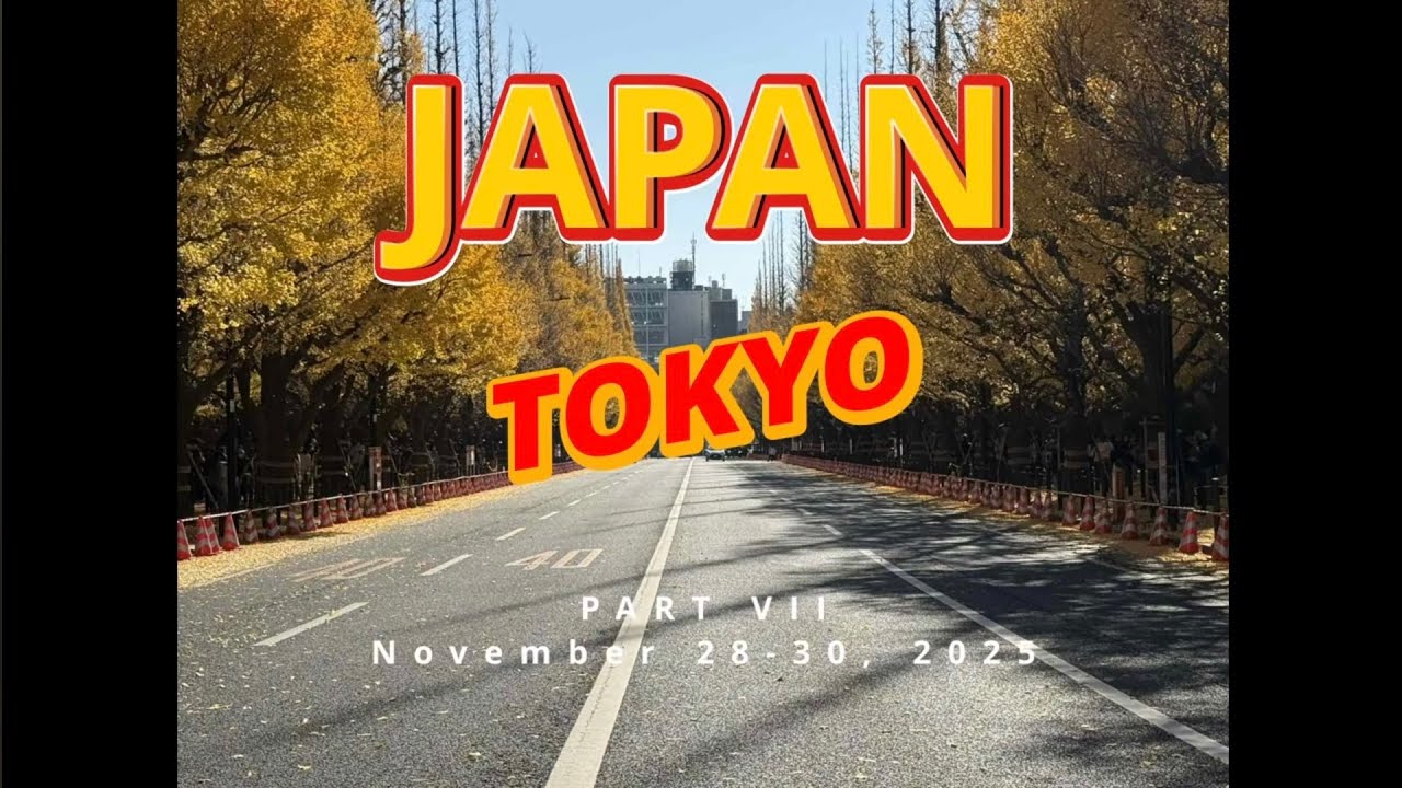 Japan Travel Part 7