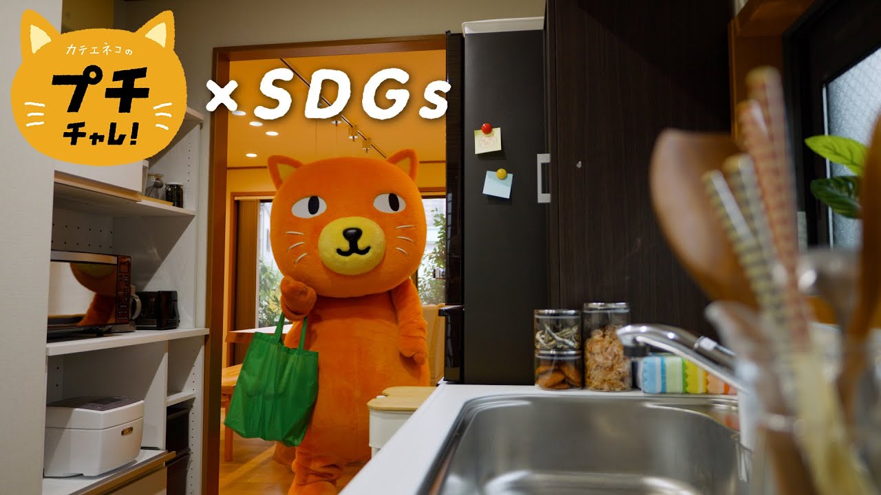 プチチャレ×SDGs【冷蔵庫高速収納篇】
