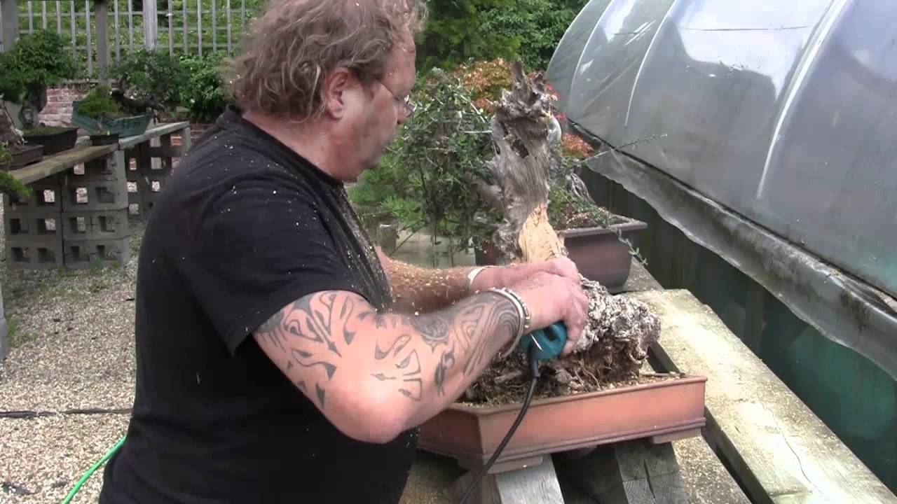 Kevin Willson - Olive Part 1