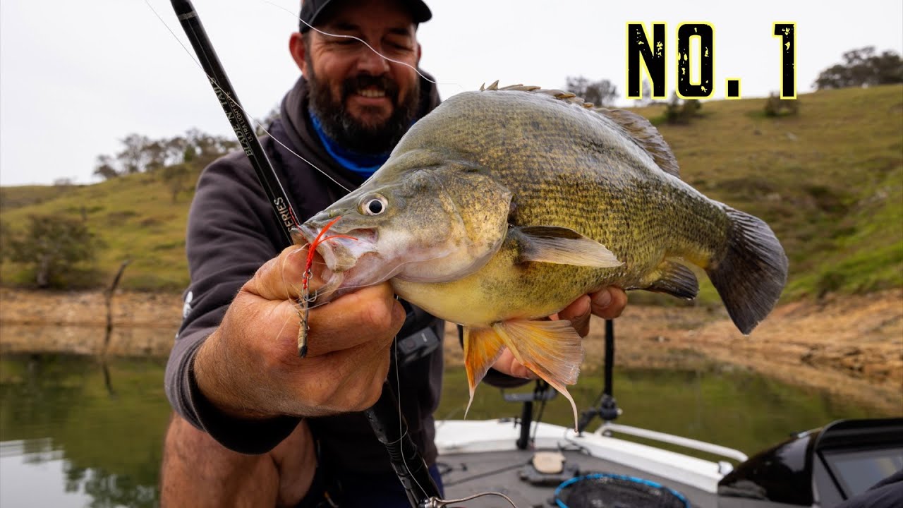 Burrinjuck hits the top- Australias Number 1 Golden Perch impoundment.
