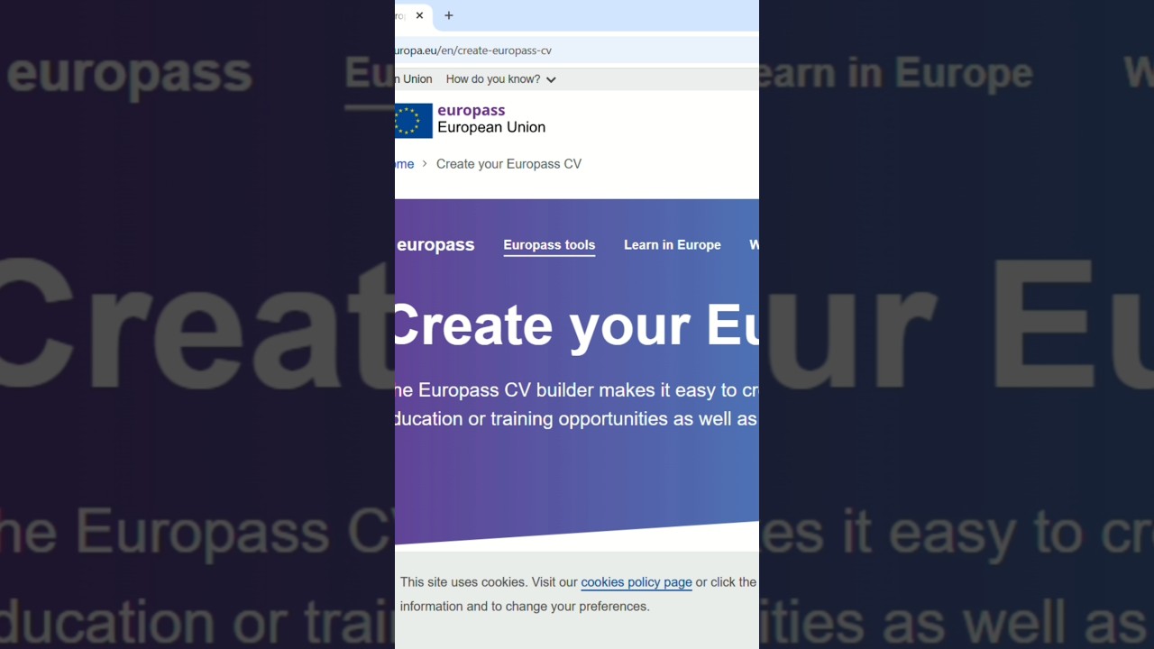 Как составить резюме EuroPass для поиска работы в Европе