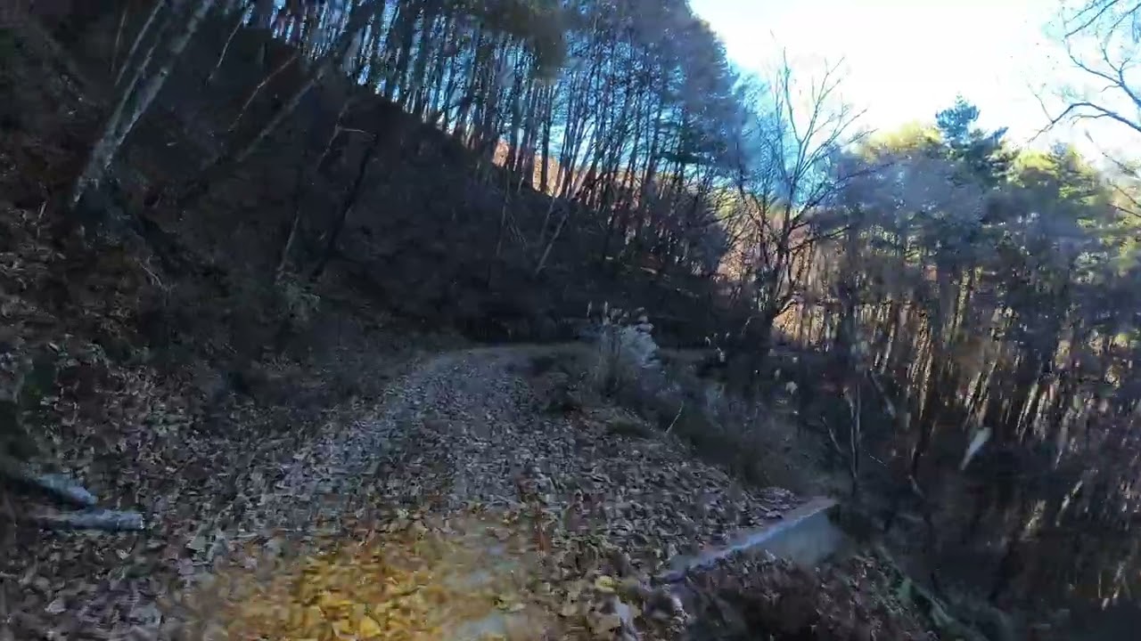 長野県　林道女沢線　2025.11.22　#crf250rally