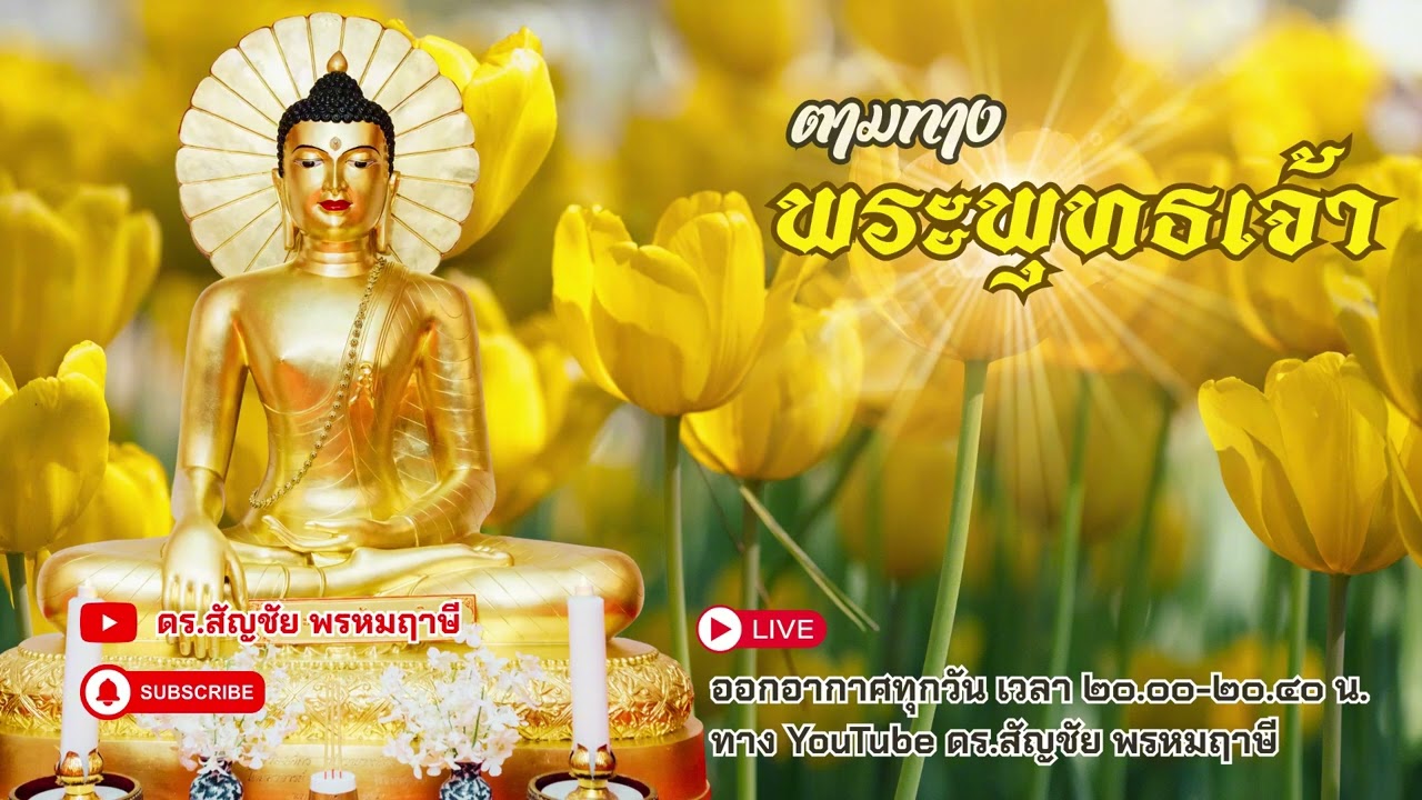 ตามทางพระพุทธเจ้า 3 กุมภาพันธ์ 2569
