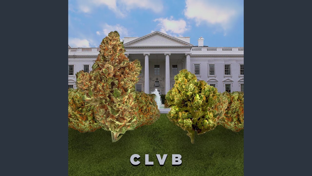 CLVB