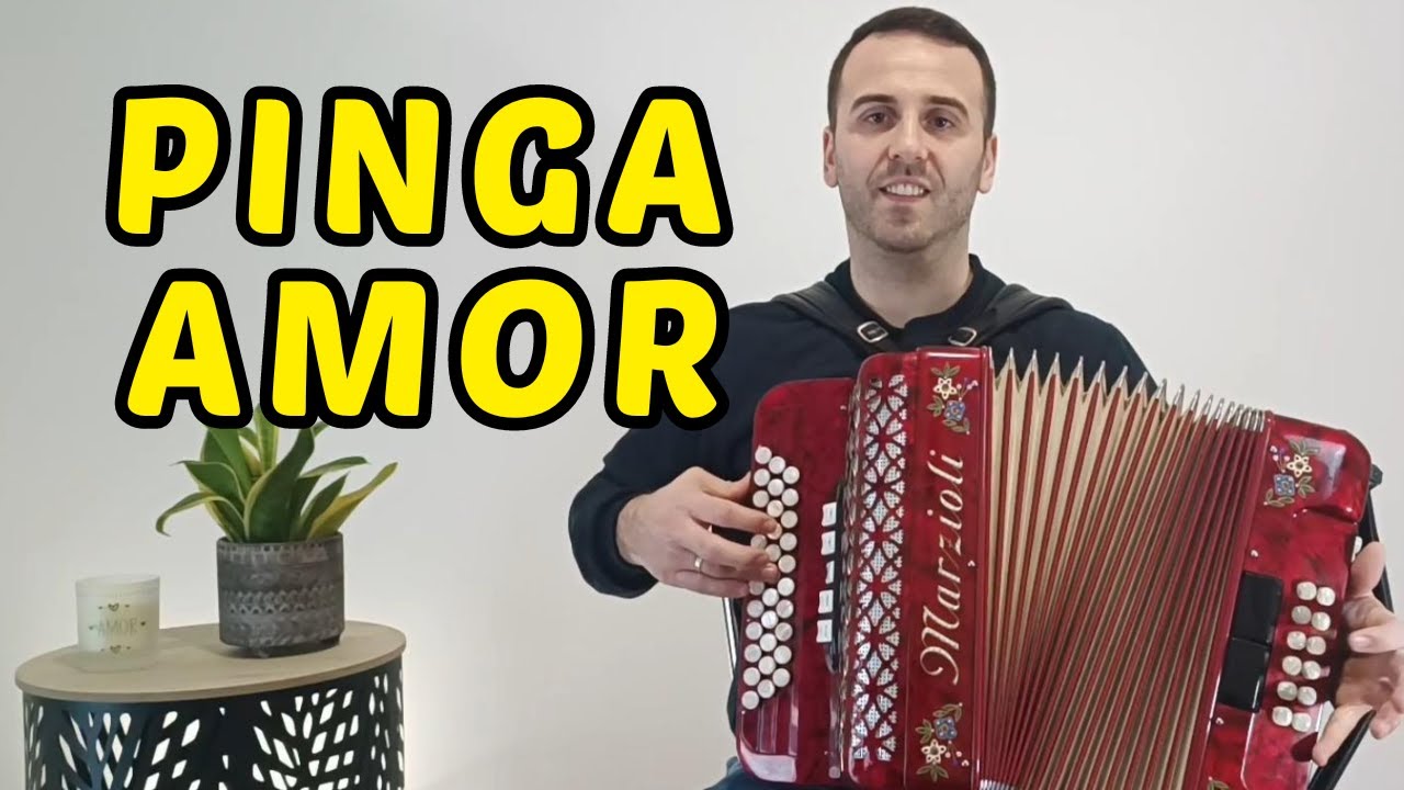 Mais uma Bela Música na Concertina - Pinga Amor da artista portuguesa Tonicha #concertinas
