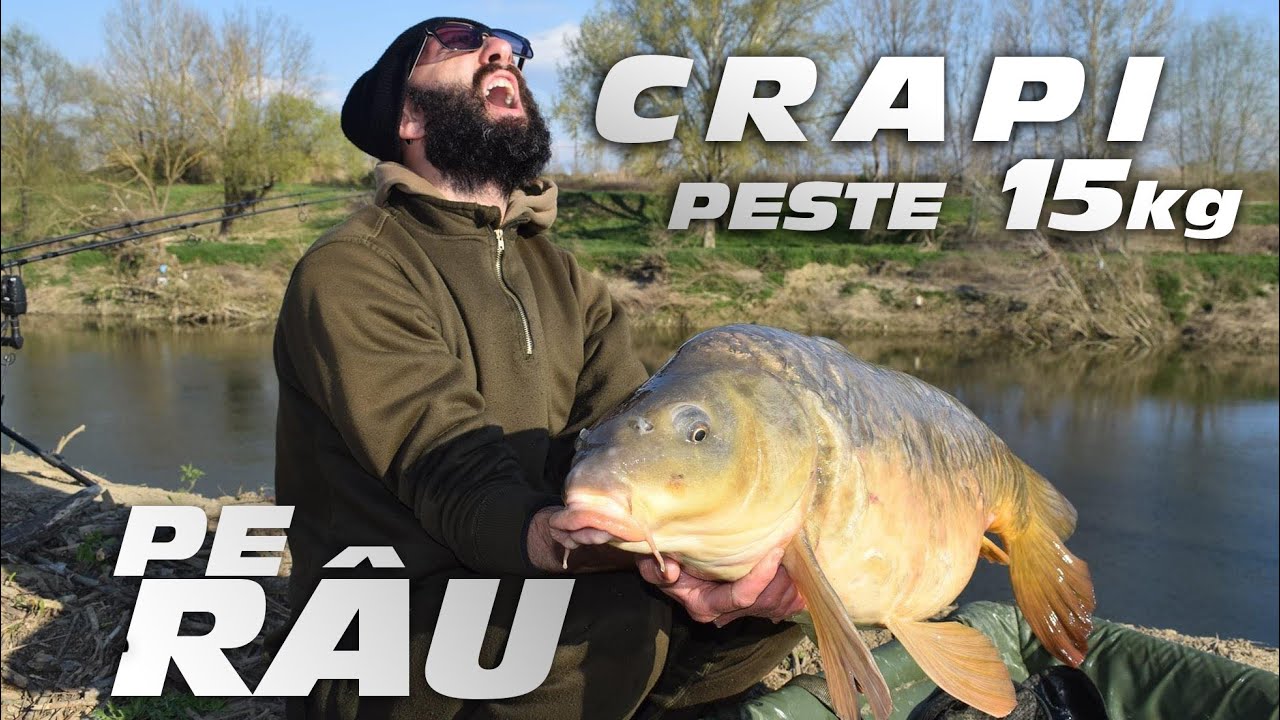 Crapi peste 15 kg pe Rau ! Abia i-am scos din apa ! Drilluri de senzatie !