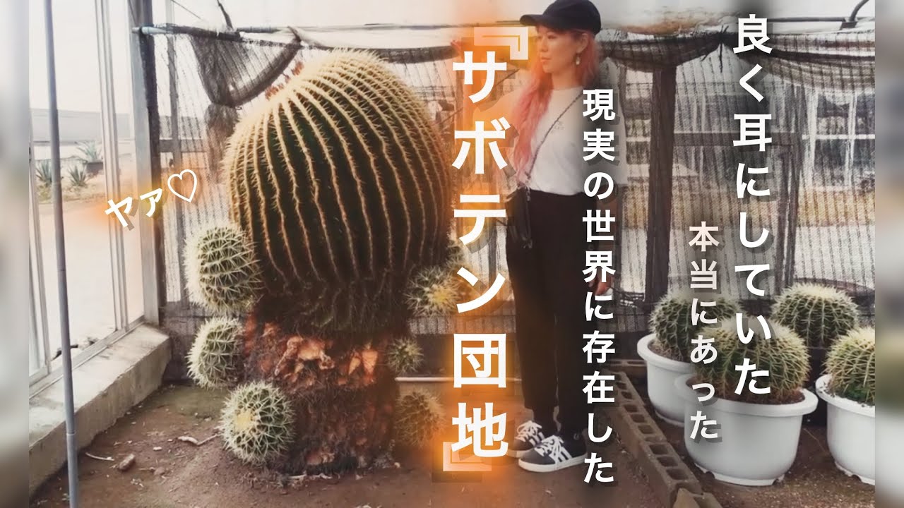 【夢⁉️いや現実‼️】団地を巡る動画192