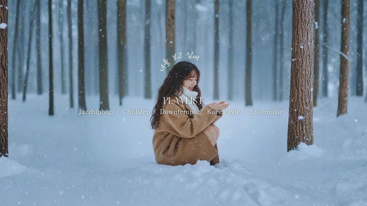 雪の日の韓国Lo-fi｜通勤・作業・勉強に合う静かなKorean Chill Playlist ❄️☕