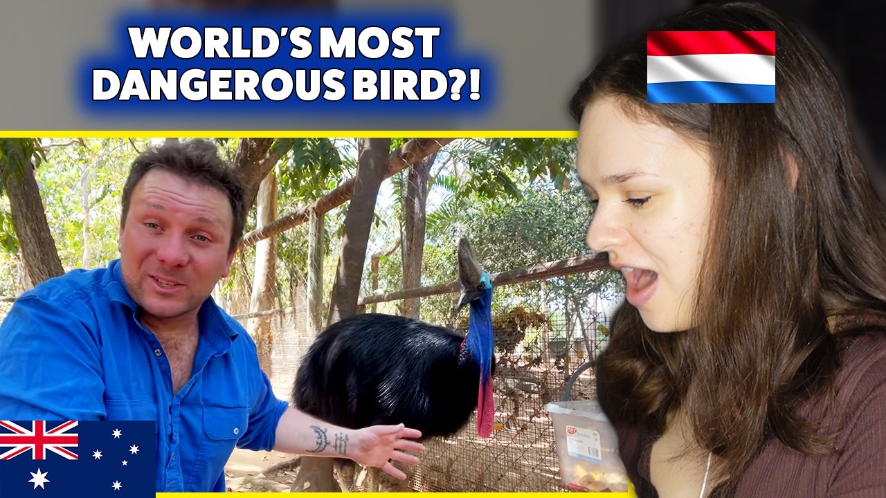 European Reacts to 10 Crazy Cassowary Facts You Didn’t Know 🇦🇺