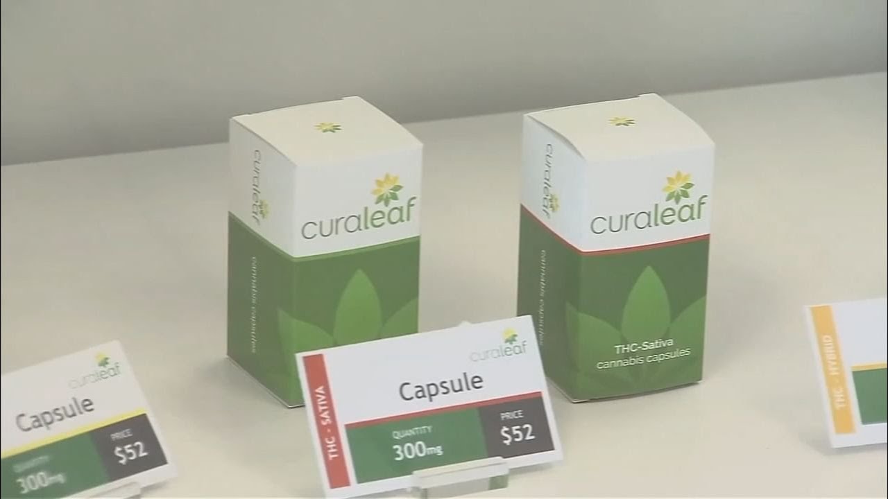 VIDEO: Former Brevard County teacher fired for prescribed medical marijuana fights to get job back