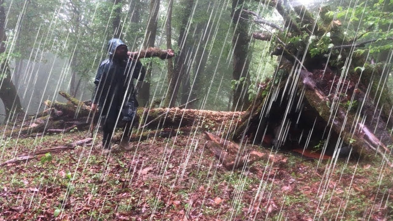 The Craziest Camping in Heavy Rain – Solo Camping Under a Tree in Rain and rainstorm