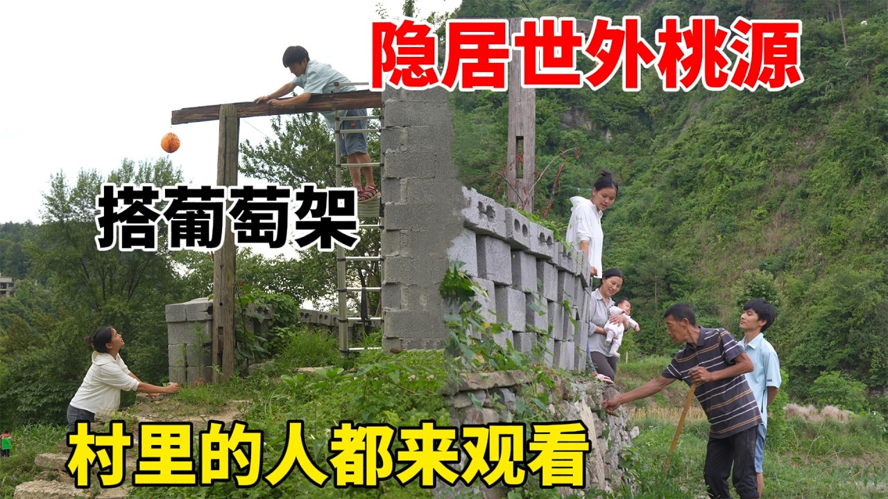带着一家人在深山居住，自己动手改造梦想中的小院，制作精美葡萄走廊，一家人都开心极了
