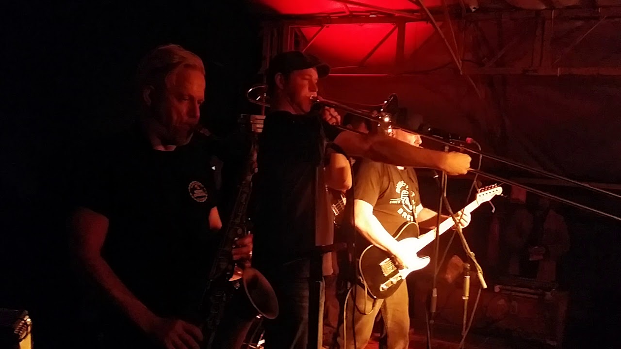 THE TOASTERS SITTING ON THE TOP OF THE WORLD (LIVE)