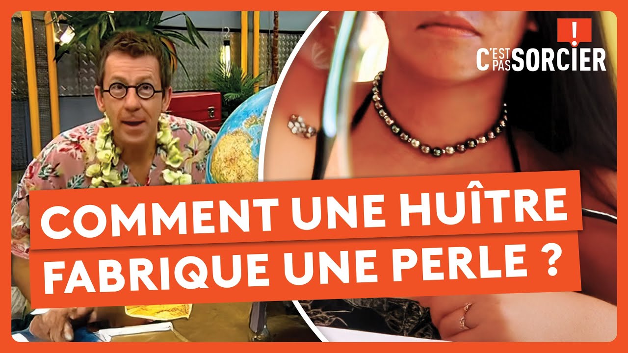Comment une hu&icirc;tre fabrique une perle ? - C'est pas sorcier