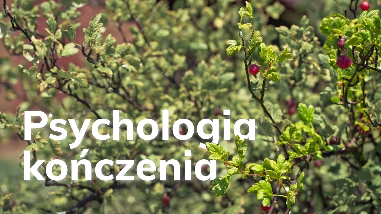 O drugim biegunie motywacji czyli psychologia kończenia