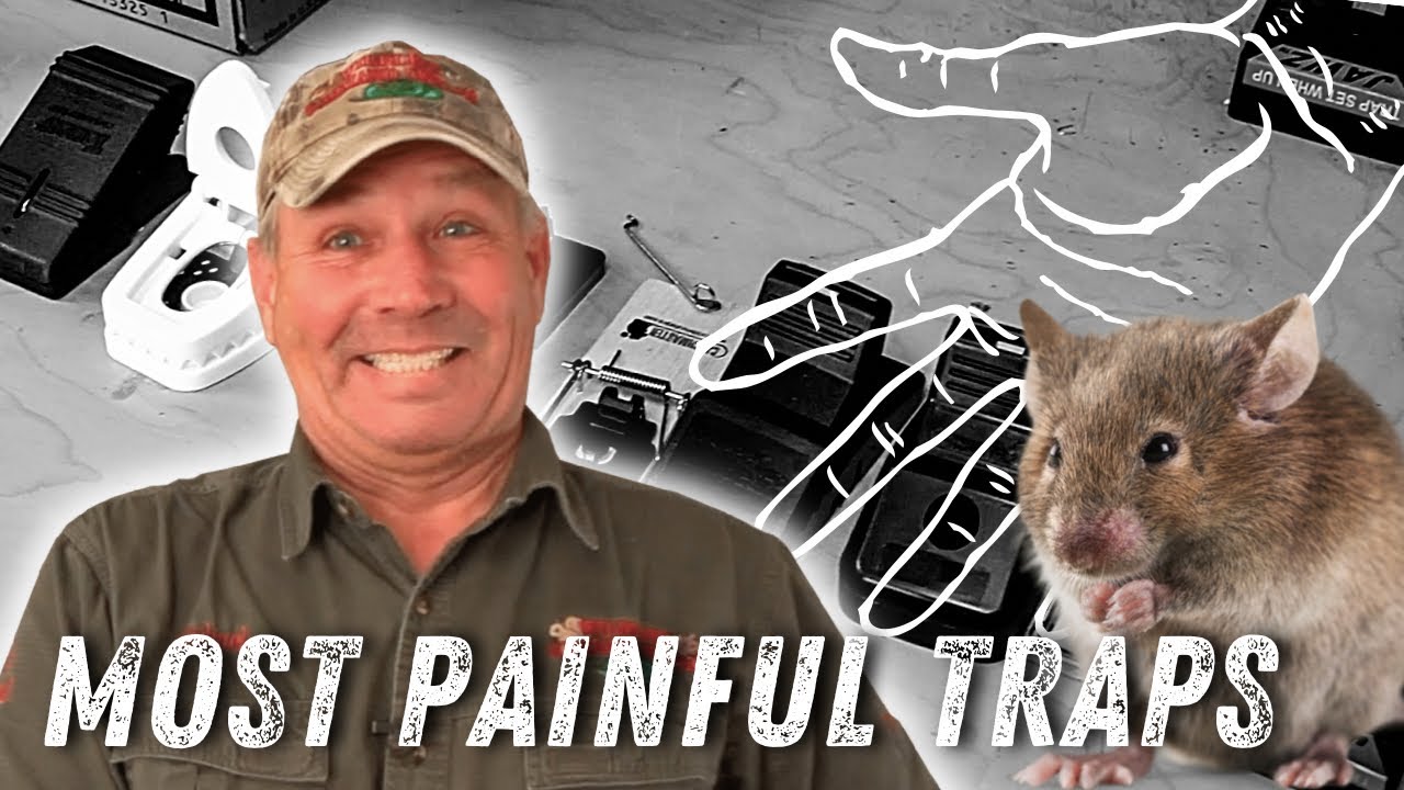 Most PAINFUL Mouse Traps | Wildlife Command Center