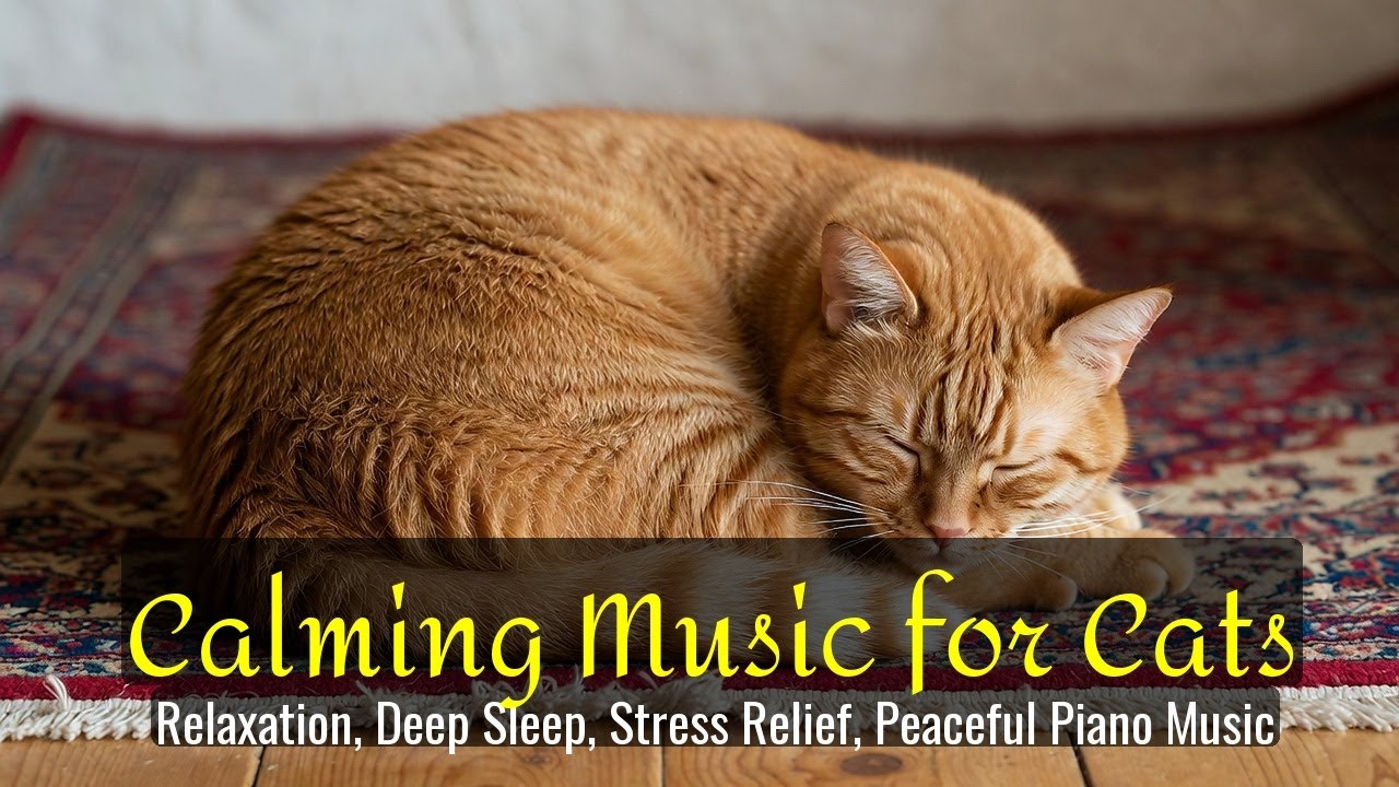 Calming Music for Cats - Relaxation, Deep Sleep, Stress Relief, Peaceful Piano Music | Season 71