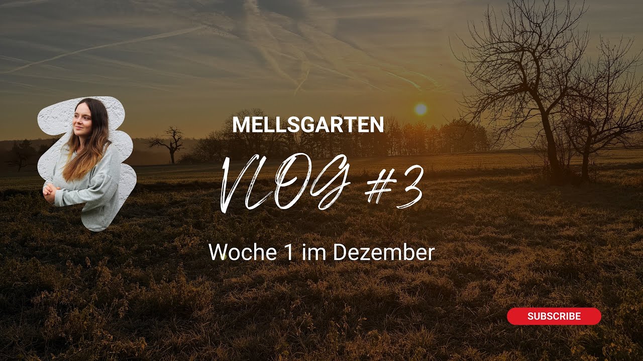 Woche 1 im Dezember Vlog #3 | weihnachtliche Eindrücke vom Land